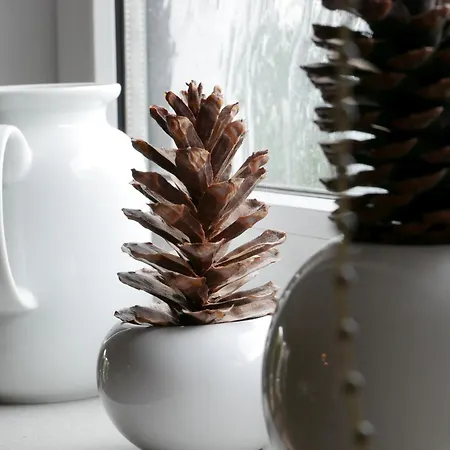 Knodel Sachsenheim (Ludwigsburg)