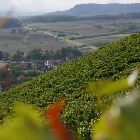 Knodel Sachsenheim (Ludwigsburg)