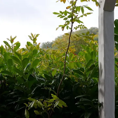 Holiday home Knodel Hohenhaslach