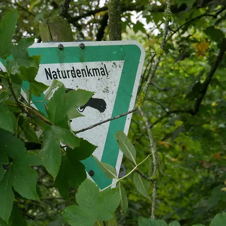 Vakantiehuis Knodel Sachsenheim