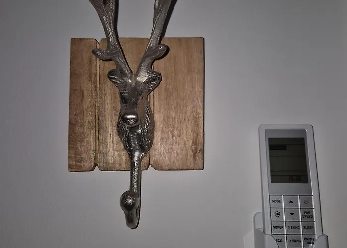 بيت للعطل Knodel *